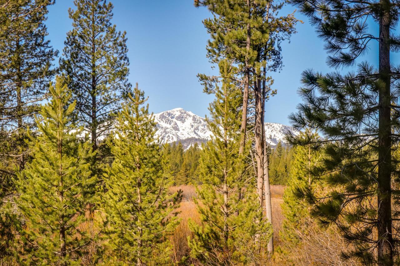Cozy Seclusion Villa South Lake Tahoe Eksteriør bilde